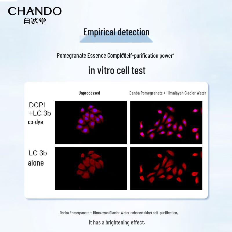 CHANDO Snow Run Deep Cleansing & Moisturizing Facial Cleanser