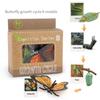 Toys Model Educational Simulated Animal Card Set Insect Plant Growth Cycle Cognitive Montessori Parish Home Open Learning Kids
