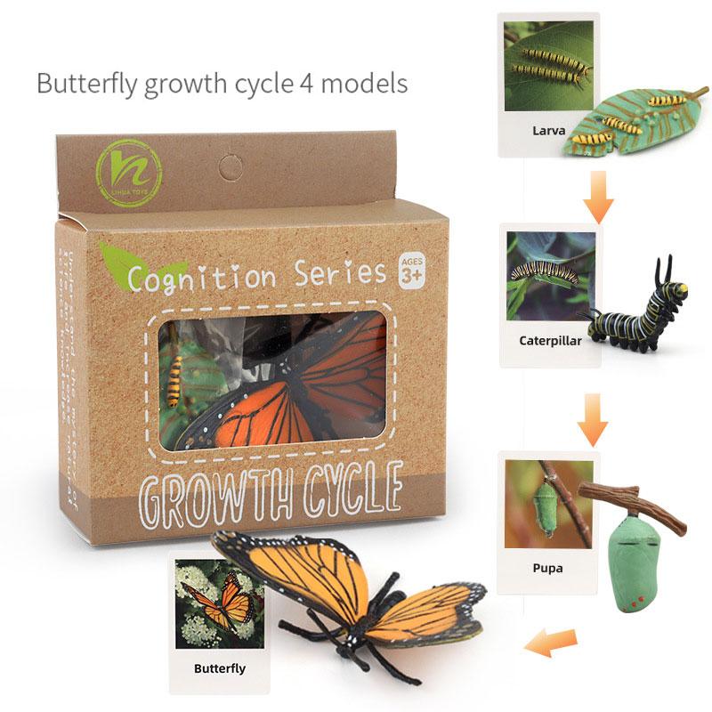 Toys Model Educational Simulated Animal Card Set Insect Plant Growth Cycle Cognitive Montessori Parish Home Open Learning Kids