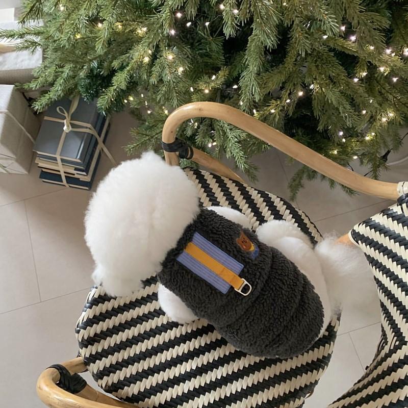Pet Autumn and Winter Clothes Dog Cotton Clothes Teddy Clothes Bichon Pomeranian VIP Yorkshire Terrier Winter Cat Small Dog
