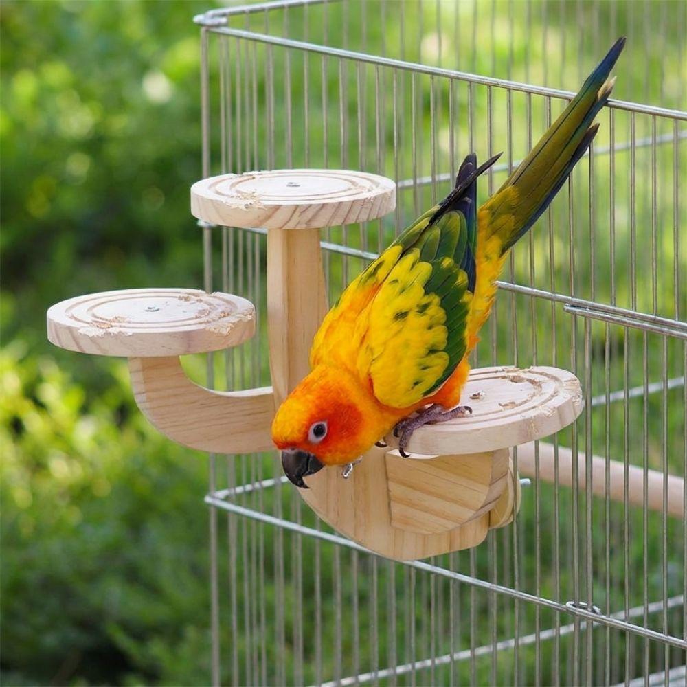 Parrots Ladder Wooden Bird Perch Stand Wear Resistant Parrot Perch Platform Small Pet