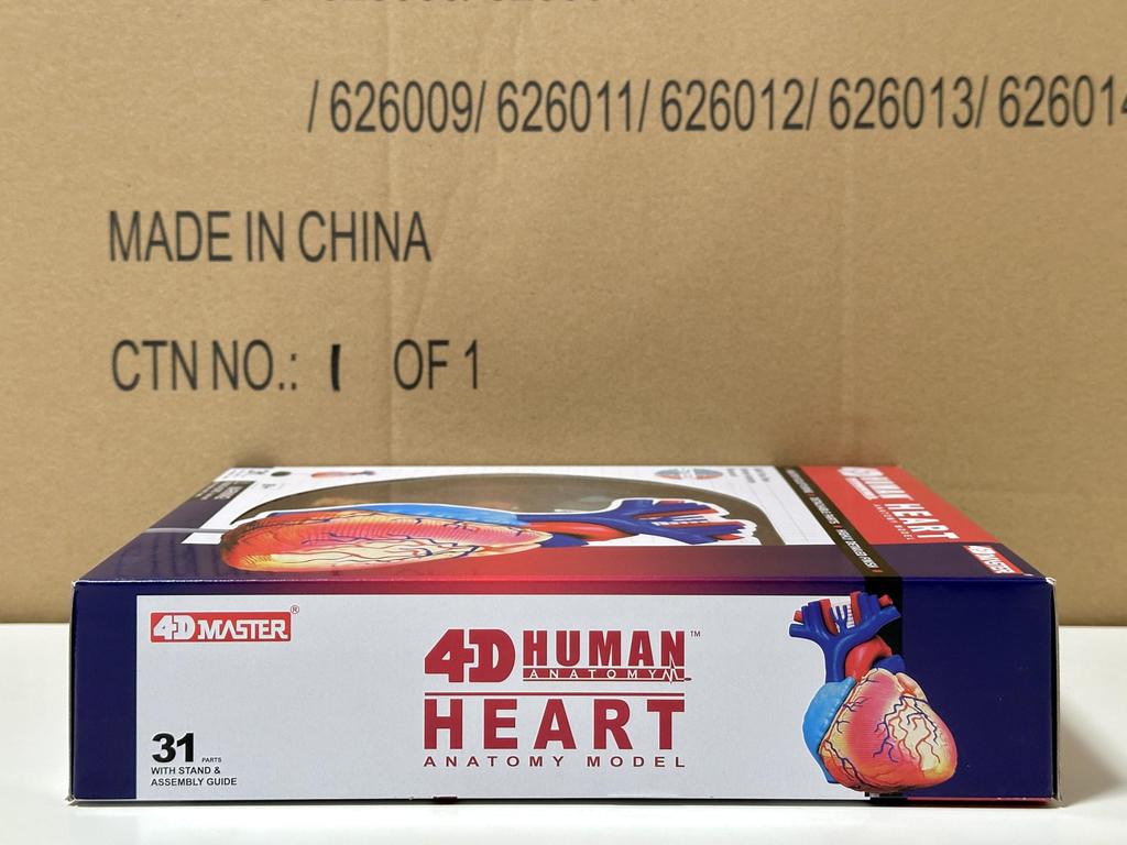 4D Menschliches Anatomiemodell Herz Puzzle 626004 Fame Master 4D Master Lernspielzeug STEM