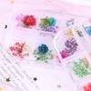 Mix Dried Flowers Nail Decorations Jewelry Natural Floral Leaf Stickers 3D Nail Art Designs Polish