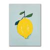 Minimalist Modern Abstract Fruit Poster Print Orange Peaches Strawberry Tomato Lemon Fig Canvas Painting Wall Art Home Decor