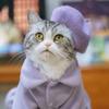 1 pcs Mini Solid Color Pet Decor Pet Wool Cap Pet Headwear Dog Beret Cat Hat