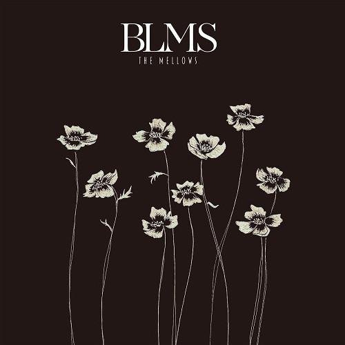 CD MELLOWS  BLMS PCD22440 PVINE 2021 Japan Obi Japanese PopRock