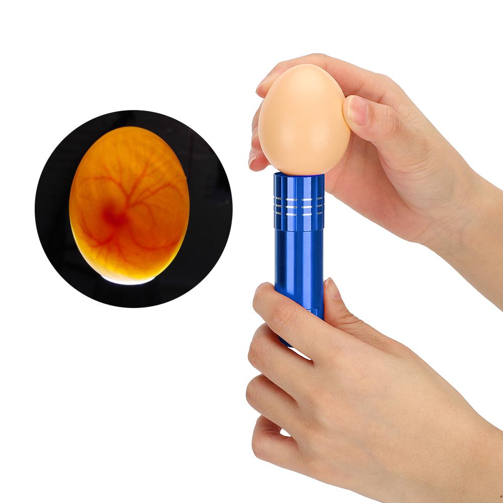 Egg Incubator Tester Candling Lamp 9 Light Bright Cold Hatching Poultry AccessoryBlue
