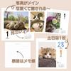 Cat Calendar 2026 Daily Calendar CK-C26-01