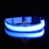 LED Dog Leash (L/Blue)