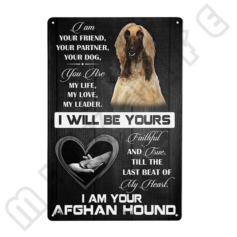 Afghan Hound Vintage Poster Metal Signs Retro Tin Sign Decorative Plaque Room Decoration for Pub Bar Man Cave Club Wall Decor