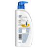 Head & Shoulders Refreshing Oil Control Anti-Dandruff Shampoo