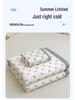A-Class Ice Bean Cool Mat Set: Washable, Soft, Single Dorm Mat, 3-Piece for Home Use
