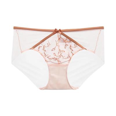 Anlifang Women's Embroidered Mesh Mid-Low Waist Briefs