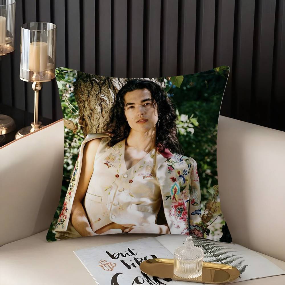 Conan Gray Holidays Pillow Case Home Dorm Chair Back Short Plush Double-Sided Printing Office Nap Time Cushion Cover