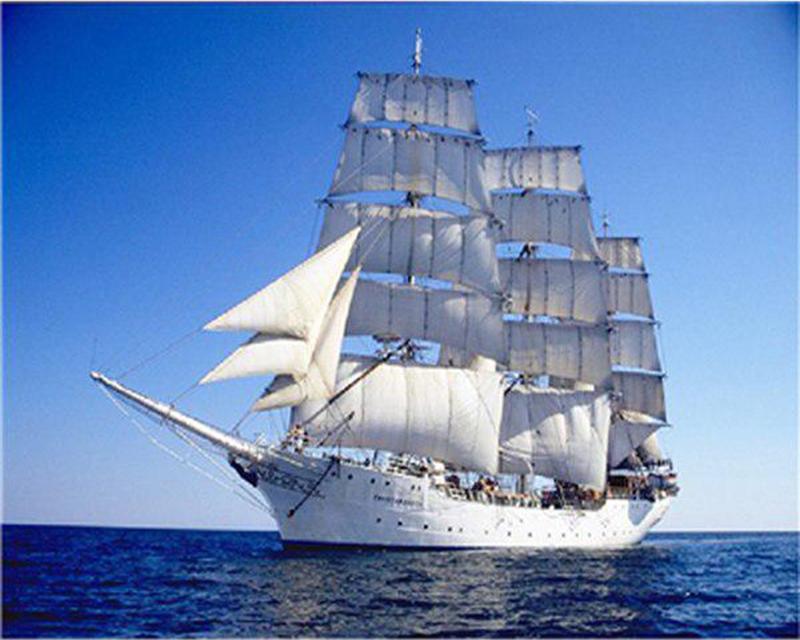 Diamond Painting Ducks Flowers Cat Rhinestones 5D DIY Diamond Embroidery Full Set Sky Landscape Cross Stitch Diamond Mosaic Handmade Gift