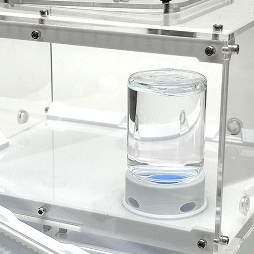 Transparent Ant Feeder Crickets Water Station Anti-Drowning Transparent Drinking Feeder For Ant Bee Crickets Outdoors