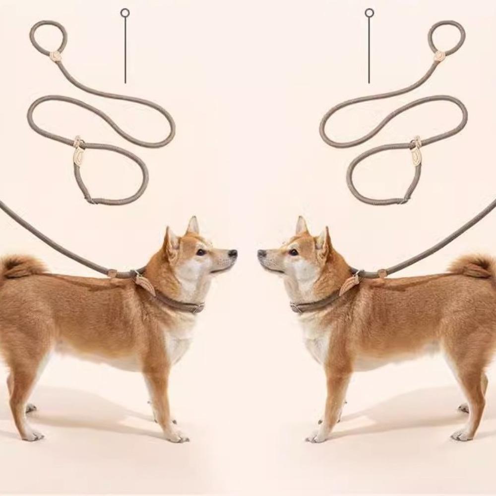 

Chain leash, dog walking rope, dog training P rope automatically tightens the telescopic dog leash, dog leash