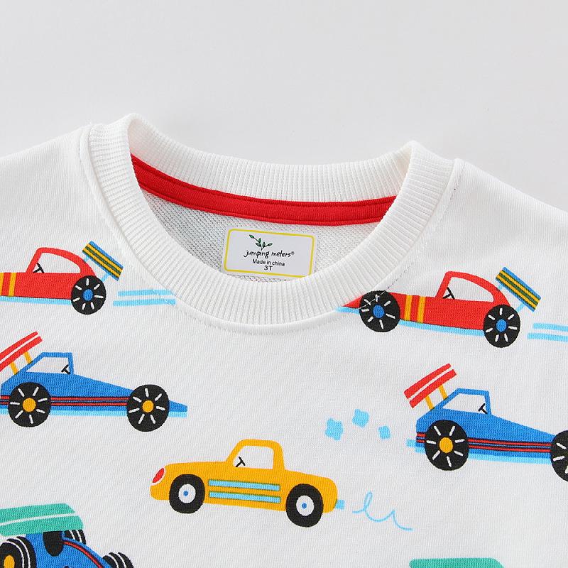 2026 Spring/Autumn Boys' Cotton Round Neck Pullover Hoodie