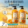 Jiebiquan Light Picking Flower Jar Clear Fragrance Shampoo for Dandruff Removal, Softness and Fragrance Retention 800ml