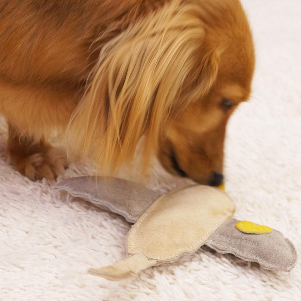 Doggyman Zabawka dla Psa Skóra Krowia Zwierzęca Zabawka Ptak