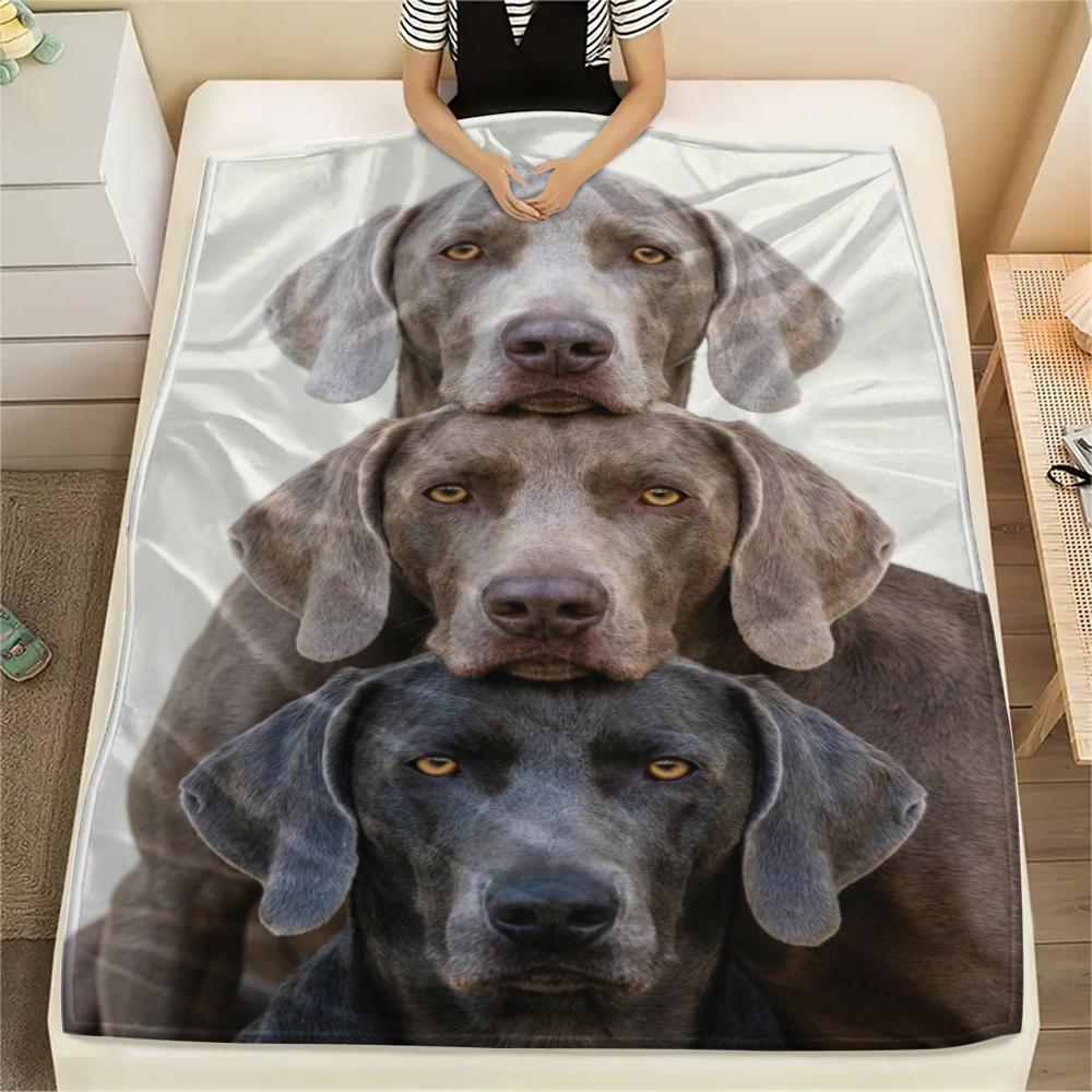 

1Pc Three Puppies Print Flannel Blanket, High quality Comfortable for All Seasons, Home Decor, Warmth and Comfort, Perfect for Christmas Gifts W140 80cm x 120cm