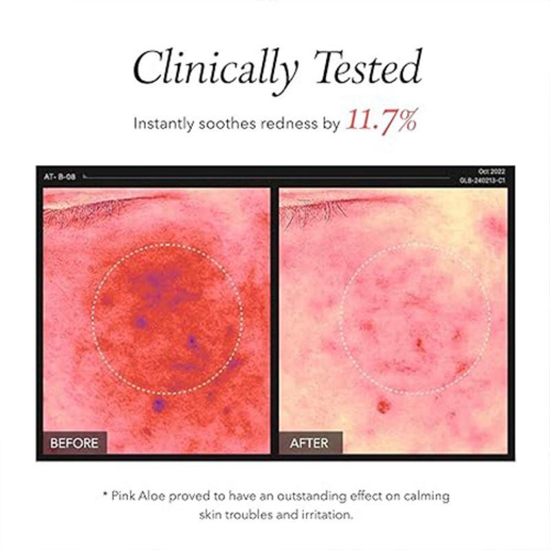 Aprilskin Pink Aloe Pack Cleanser 120ml