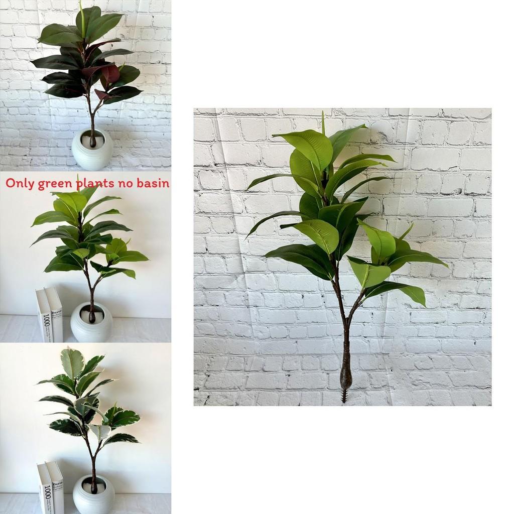 Artificial Hevea Brasiliensis With Lifelike Leaves For Home Decoration And Photography Props