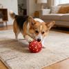 ETPU Hundeball Kauspielzeug Aggressiver Kauer Interaktiver Bissfester Ball Spielzeug Kleiner Mittlerer Großer Hund