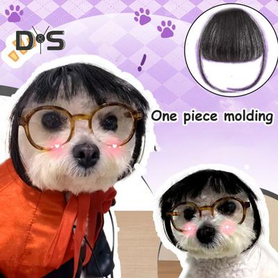 Lustige Haustierperücke, Cosplay-Kostüm, realistisch aussehend, trimmbar, leicht zu reinigen, mittelgroße und große Hunde-/Katzenperücke, Dekoration