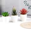 Artificial Plants Succulent Flowerpot Mini succulents Bionic Potted Plant Desktop Potted Plant Home Decoration Mini Potted Plant