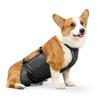 Puppy Summer Clothes Waterproof Breathable Bellyband For Dogs Anti-dirty Belly Cover Bib Pocket Washable Dog Clothes