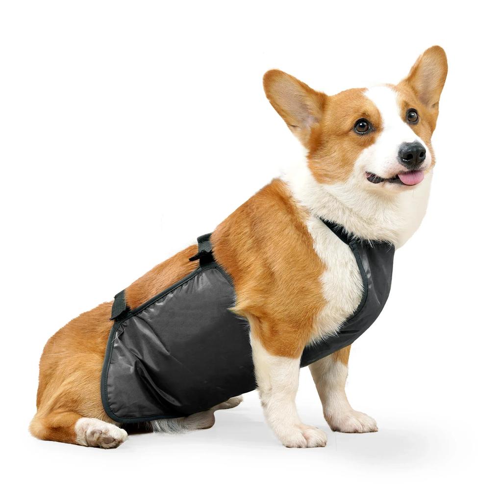 Puppy Summer Clothes Waterproof Breathable Bellyband For Dogs Anti-dirty Belly Cover Bib Pocket Washable Dog Clothes