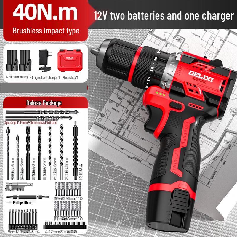 DELIXI Lithium-ion Brushless Cordless Drill/Driver CN Plug (adapter Included)