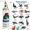 Frog Life Cycle Model Set: Tadpole to Frog Educational Toys for Kids