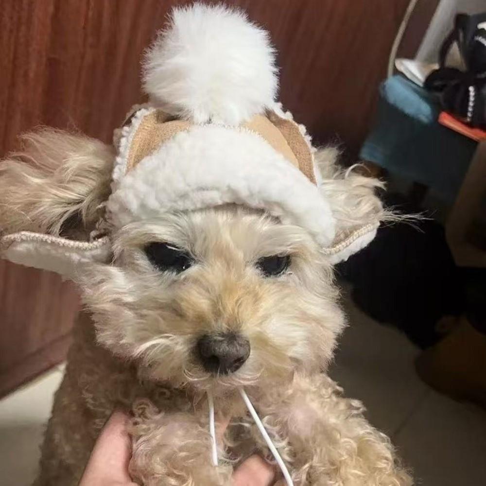 Warm Cat Flying Hat Lamb Fur Windproof Dog Cap Fashion Fluffy Dog Hat  Outdoor Activities