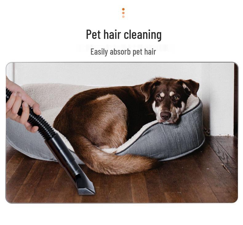 Nanwei Cordless Lithium Dust Blower for Electronics and Cars