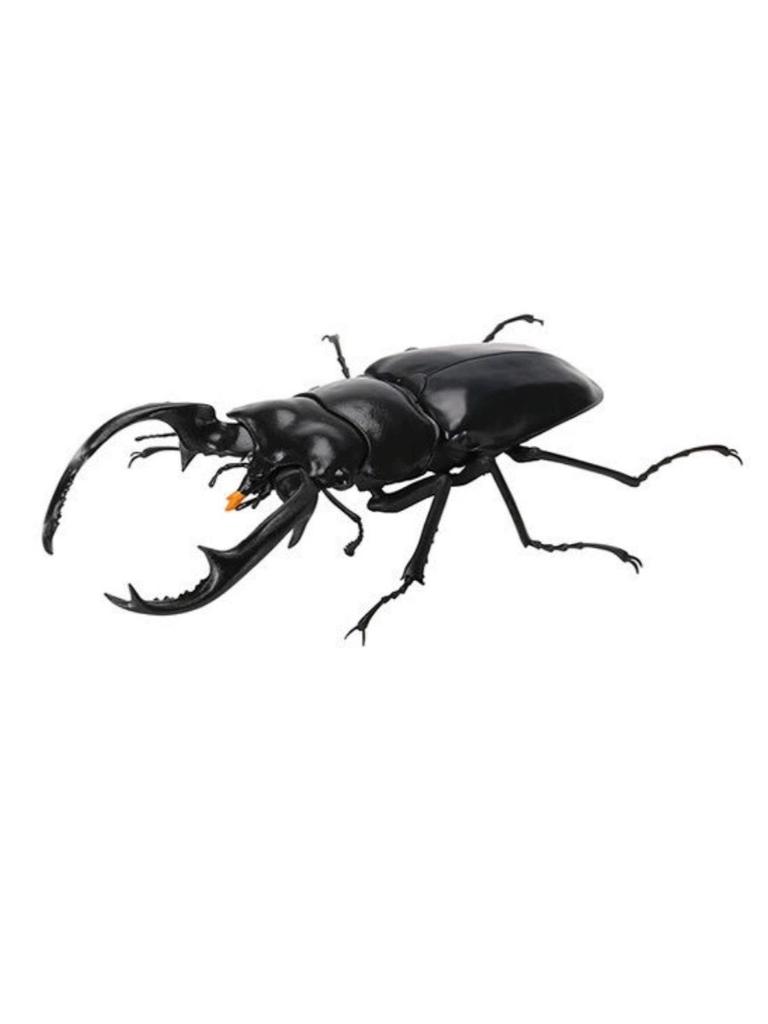 Biographical Analysis of Deer Antler Beetle and Claw Shaped Insect 07 Beetle Gacha Simulation Animal Movable Joints Figure Toys