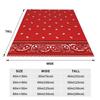 Klassisches Paisley-Bandana Decken Weiche Warme Flanell-Kuscheldecke Bettwäsche für Bett Wohnzimmer Picknick Reisen Zuhause Sofa