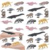 Crocodile Dolphin South American Animal Model Set Static Figurine For Collectors And Decor
