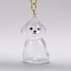 Transparent Dog Hair Collection Bichon Husky Corgi Portable Dog Hair Storage Capsule Gifts Dog Hair Storage Box Gift Giving