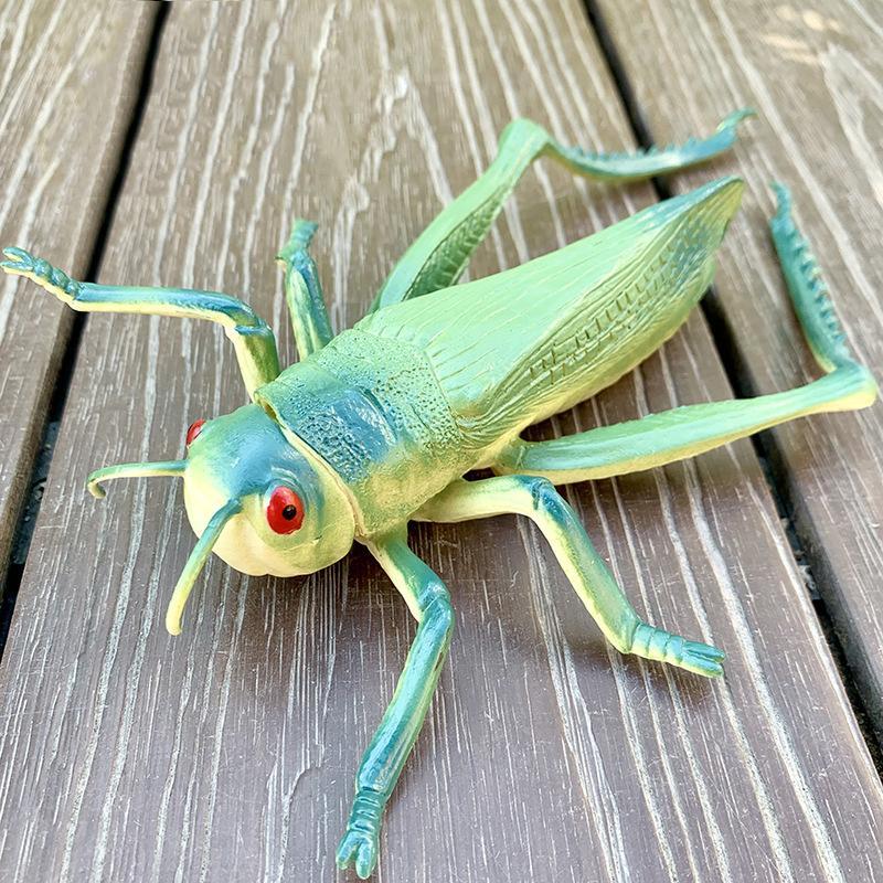 Large sized insect animal simulation model, spider, locust, scorpion, ant, unicorn fairy, children's educational cognitive ornam