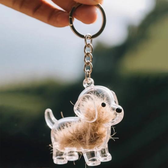 2/5Pcs Pet Hair Storage Box Keychain Portable Pet Memory Holder Secret Fur Collection Box Pet Hair Souvenir Box Keyring