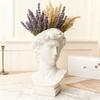 Creative David Art Statue Flowerpot for Inserting Dried Flowers and Simulating Flowers Home Living Room Bedroom Decoration Gift