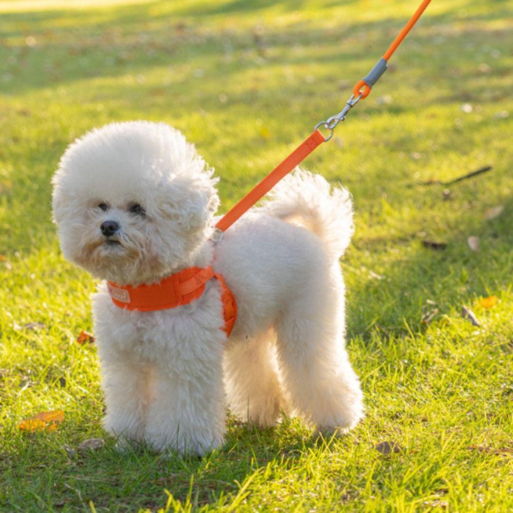 Comfortable Dog Harness Vest Adjustable Puppy Chest Strip Practical Dog Leash for Puppy Dogs