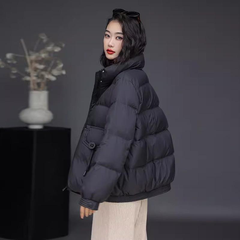 Fashion and literary down jacket women's short 2025 winter new white duck down stand-up collar mother's thermal jacket large size