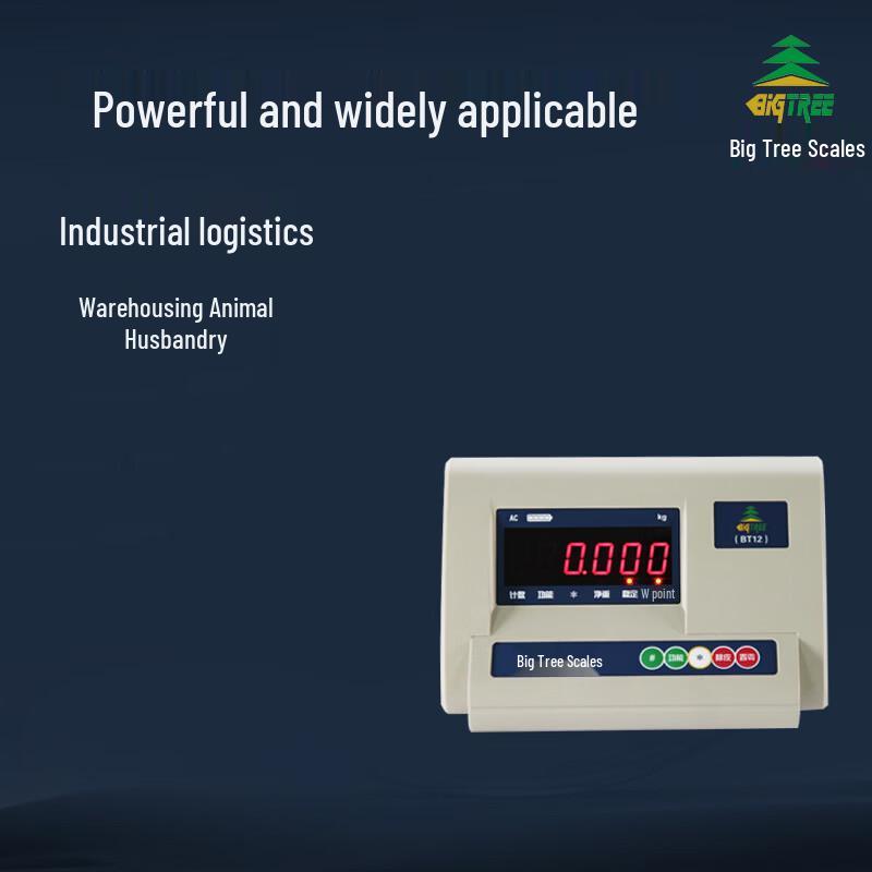Industrial Electronic Platform Scale (CN version)