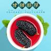 Dried Mulberry 500g Natural Herbal Energy Tea No Wash for Men Women