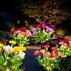 Super Bright Outdoor Solar Flower Lights Waterproof IP65 Durable Landscape Light for Garden Pathway Lawn Decorations Auto On/Off