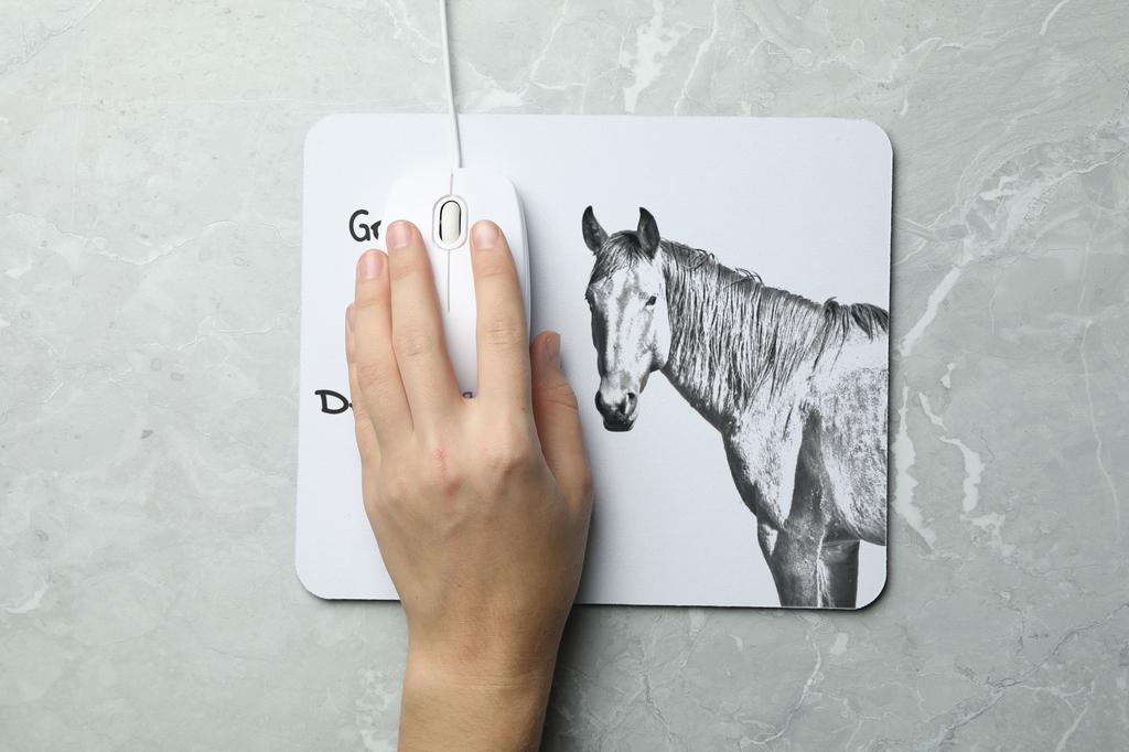 Namib Desert Horse - mouse pad with print, personalized pad with a horse, unique gadget for an office worker from the Art-Dog brand