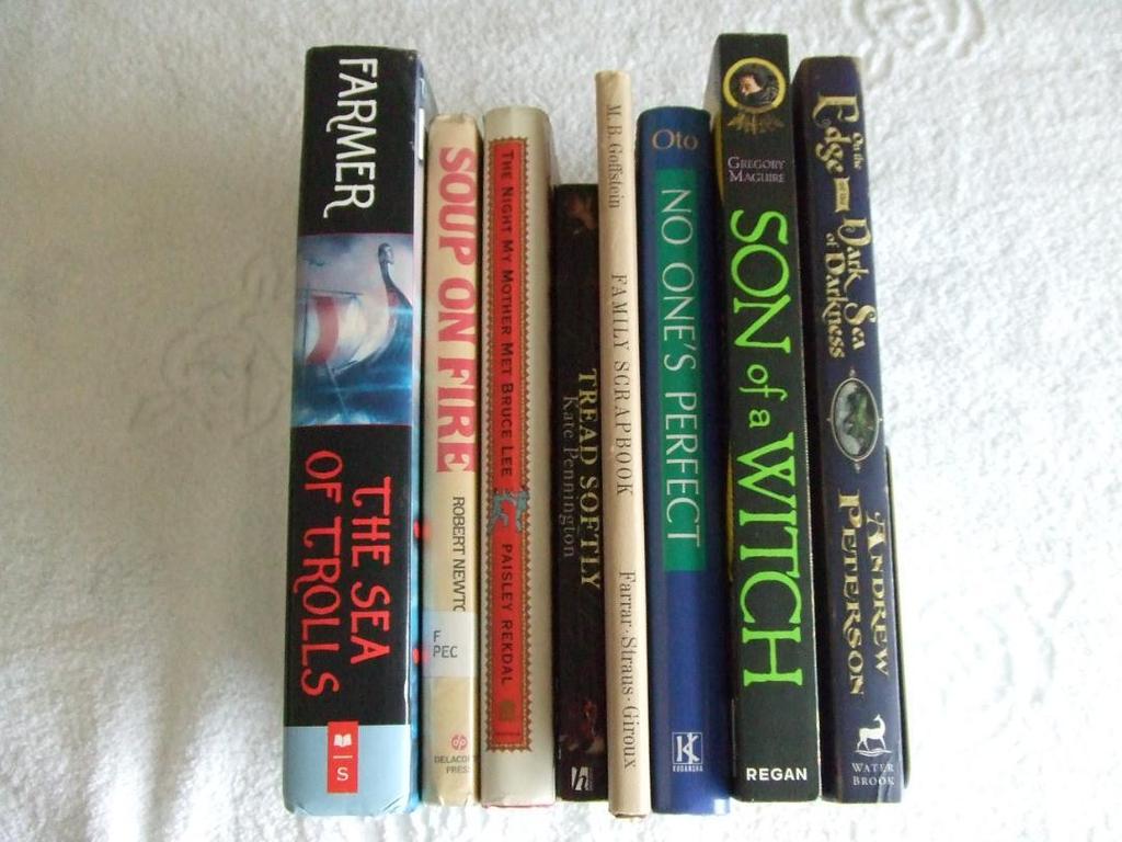 [USED] Large English book set of 8, unread